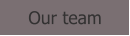 Our team